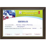 Institution Achievement